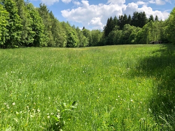 Prodej pozemku 14292 m², Strašín
