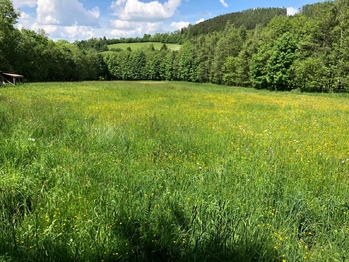 Prodej pozemku 14292 m², Strašín