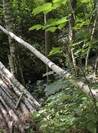Prodej pozemku 14292 m², Strašín