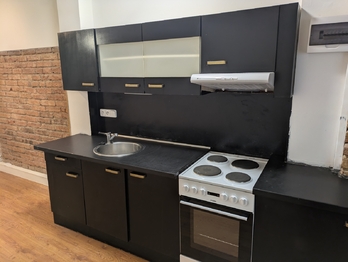 Pronájem bytu 3+1 v osobním vlastnictví 450 m², Ústí nad Labem
