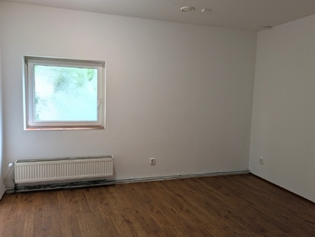 Pronájem bytu 3+1 v osobním vlastnictví 450 m², Ústí nad Labem