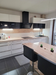 Prodej domu 348 m², Neumětely