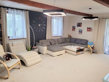 Prodej domu 348 m², Neumětely