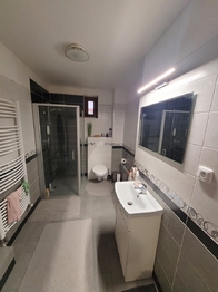 Prodej domu 348 m², Neumětely