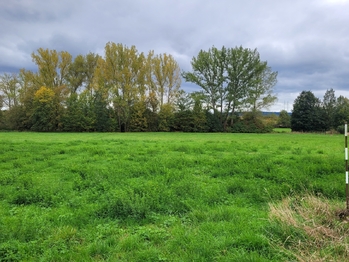 Výhled z domu. - Prodej domu 348 m², Neumětely