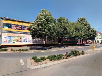 Pronájem obchodních prostor 39 m², Rousínov