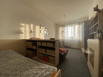 +420 776 335 999, ladislav.urbancik@re-max.cz - Prodej bytu 1+1 v družstevním vlastnictví 36 m², Havířov