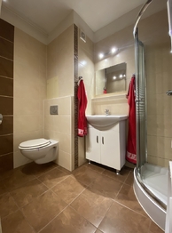 +420 776 335 999, ladislav.urbancik@re-max.cz - Prodej bytu 1+1 v družstevním vlastnictví 36 m², Havířov