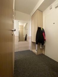 +420 776 335 999, ladislav.urbancik@re-max.cz - Prodej bytu 1+1 v družstevním vlastnictví 36 m², Havířov