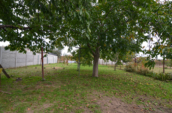 Prodej domu 230 m², Lanžhot