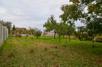Prodej domu 230 m², Lanžhot