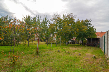 Prodej domu 230 m², Lanžhot
