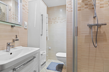 Koupelna se sprchovým koutem - Pronájem bytu 2+1 v družstevním vlastnictví 43 m², Ústí nad Labem
