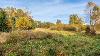 Prodej pozemku 13261 m², Rybniště