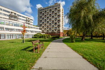 Prodej bytu 2+kk v družstevním vlastnictví 53 m², Litvínov