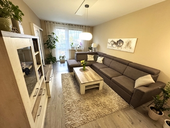Prodej bytu 3+1 v družstevním vlastnictví 82 m², Mohelnice