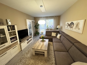Prodej bytu 3+1 v družstevním vlastnictví 82 m², Mohelnice