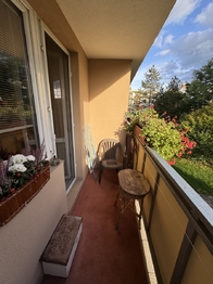 Prodej bytu 3+1 v družstevním vlastnictví 82 m², Mohelnice