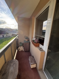 Prodej bytu 3+1 v družstevním vlastnictví 82 m², Mohelnice