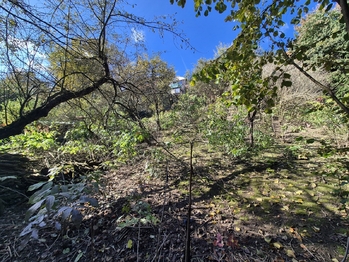 Prodej domu 150 m², Husinec