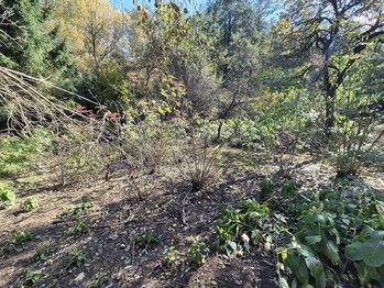 Prodej domu 150 m², Husinec