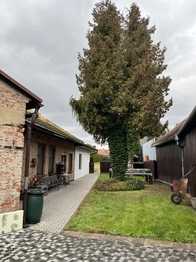 Prodej domu 180 m², Tlumačov