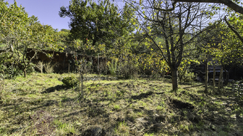 Prodej pozemku 853 m², Brno
