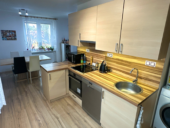 Pronájem bytu 2+1 v osobním vlastnictví 51 m², Planá