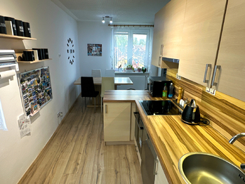 Pronájem bytu 2+1 v osobním vlastnictví 51 m², Planá