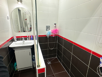 Pronájem bytu 2+1 v osobním vlastnictví 51 m², Planá