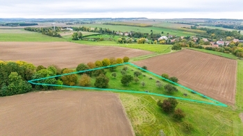 Prodej pozemku 6588 m², Panoší Újezd