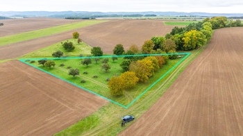 Prodej pozemku 6588 m², Panoší Újezd