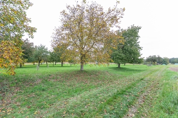 Prodej pozemku 6588 m², Panoší Újezd