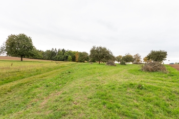 Prodej pozemku 6588 m², Panoší Újezd