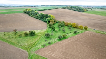 Prodej pozemku 6588 m², Panoší Újezd
