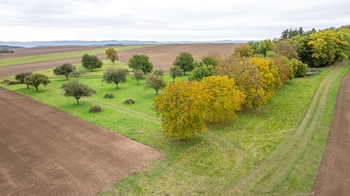 Prodej pozemku 6588 m², Panoší Újezd