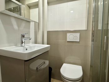 Pronájem bytu 1+kk v osobním vlastnictví 25 m², Praha 6 - Vokovice