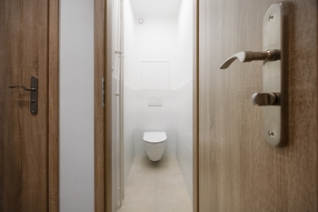 Samostatná toaleta - Prodej bytu 2+1 v osobním vlastnictví 73 m², Plzeň