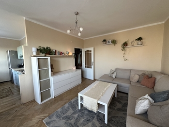 Prodej bytu 2+1 v družstevním vlastnictví 47 m², Havířov