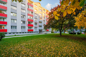 Pronájem bytu 2+1 v osobním vlastnictví 55 m², Čelákovice