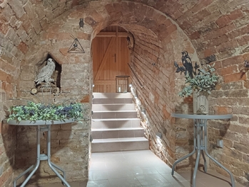 Pronájem domu 64 m², Bořetice