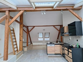pronájem bytu prostějov - Pronájem bytu 3+kk v osobním vlastnictví 116 m², Prostějov