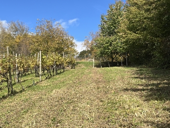 Prodej pozemku 844 m², Vřesovice