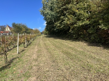 Prodej pozemku 844 m², Vřesovice
