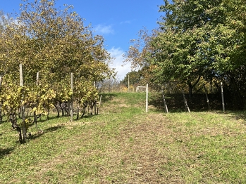 Prodej pozemku 844 m², Vřesovice