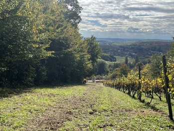 Prodej pozemku 844 m², Vřesovice