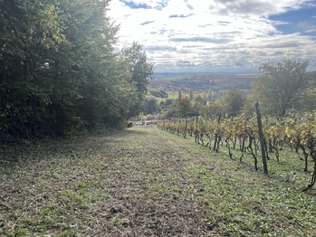 Prodej pozemku 844 m², Vřesovice