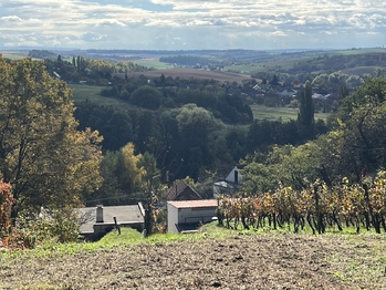 Prodej pozemku 844 m², Vřesovice