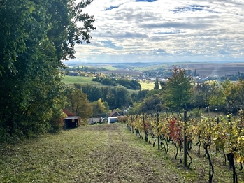 Prodej pozemku 844 m², Vřesovice