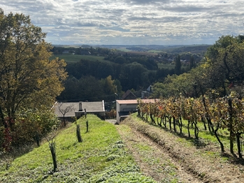 Prodej pozemku 844 m², Vřesovice